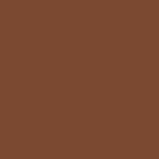 Pennarello Promarker W&N Chocolate O234 - immagine 3